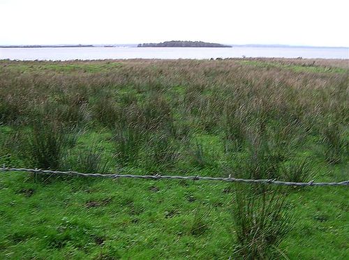 Coney Island, Lough Neagh